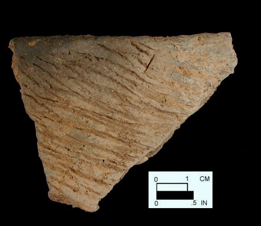 Accokeek cord-marked rim sherd from the Mt. Calvert site site 18PR6.